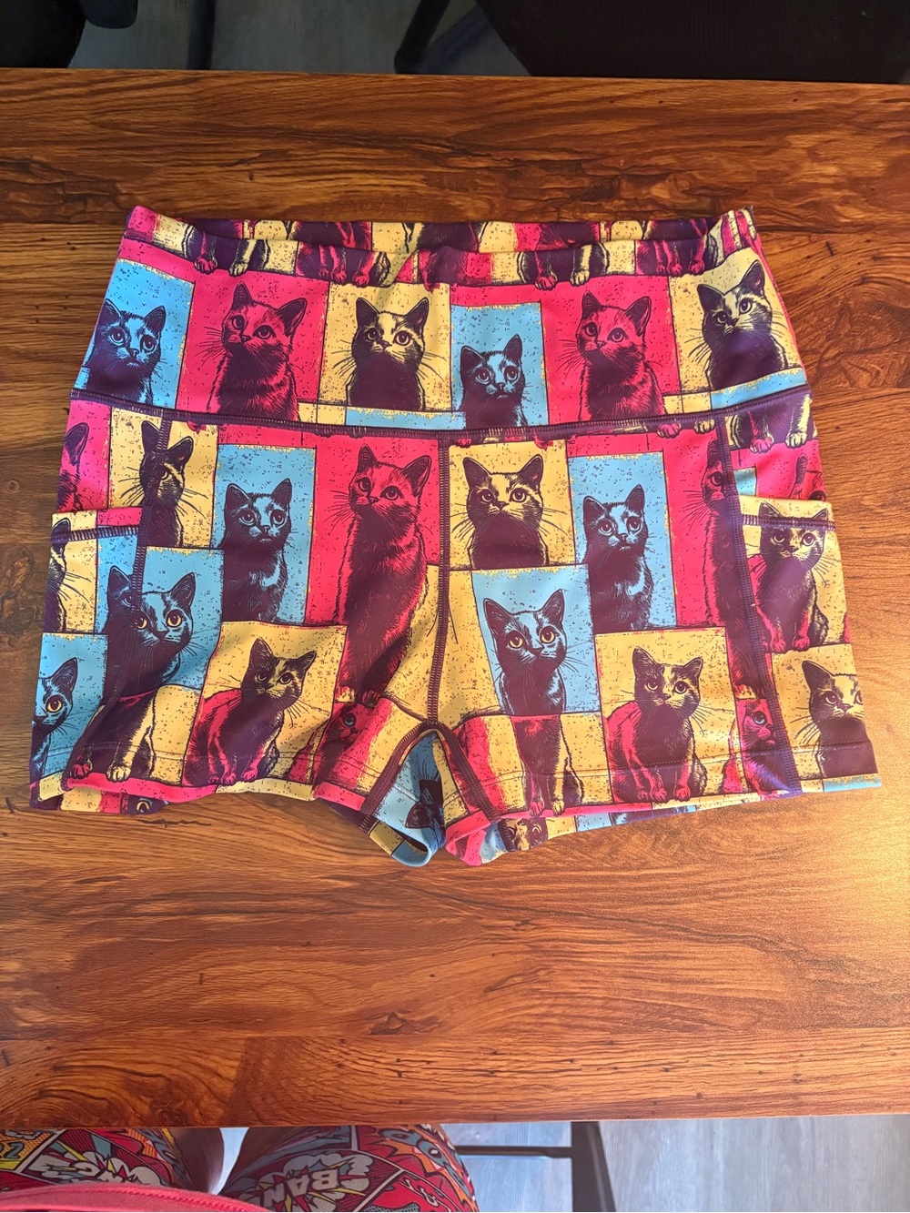 Constantly Varied Gear “Pawcasso”  Large Shorts 2.5